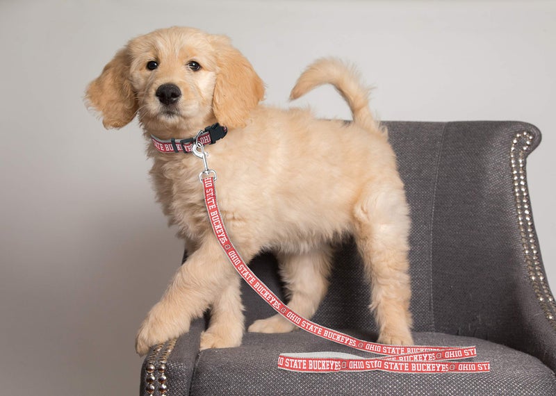 Pets First College Ohio State Buckeyes Pet Leash, Large - Image 2